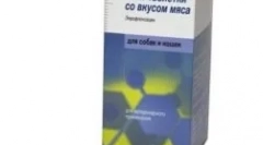 Encoxyl za mačke - pomoćnik u borbi protiv bakterija